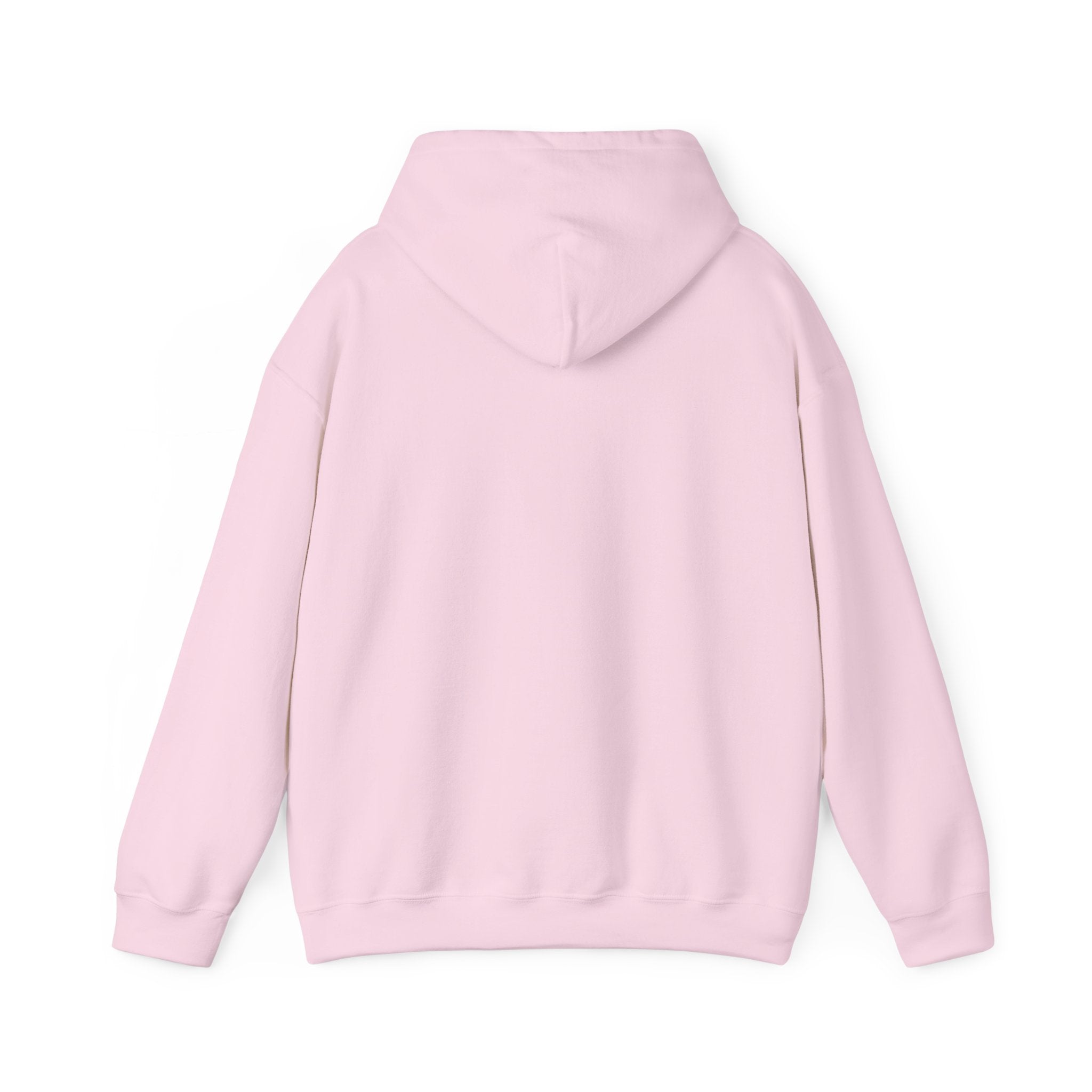 Racing Car Hoodie with Number 1 Graphic — Motorsport Fan Pullover