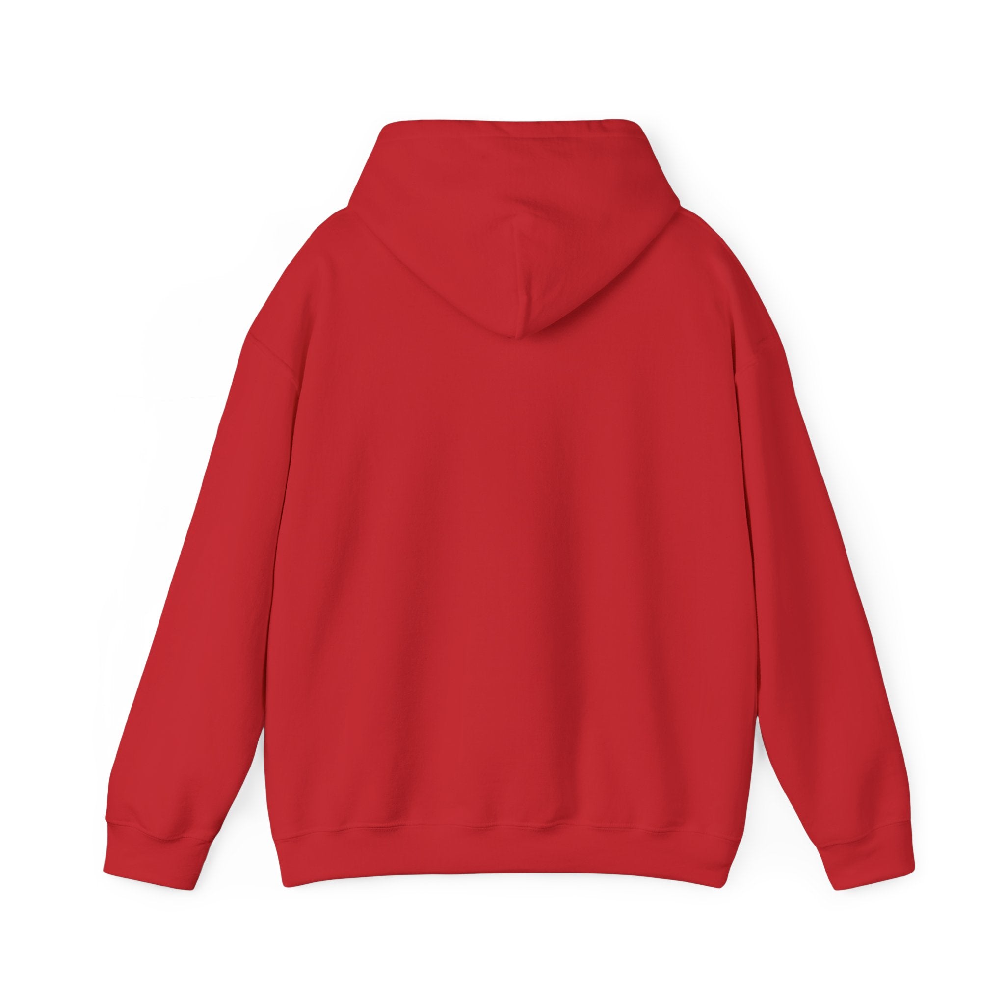 Racing Car Hoodie with Number 1 Graphic — Motorsport Fan Pullover