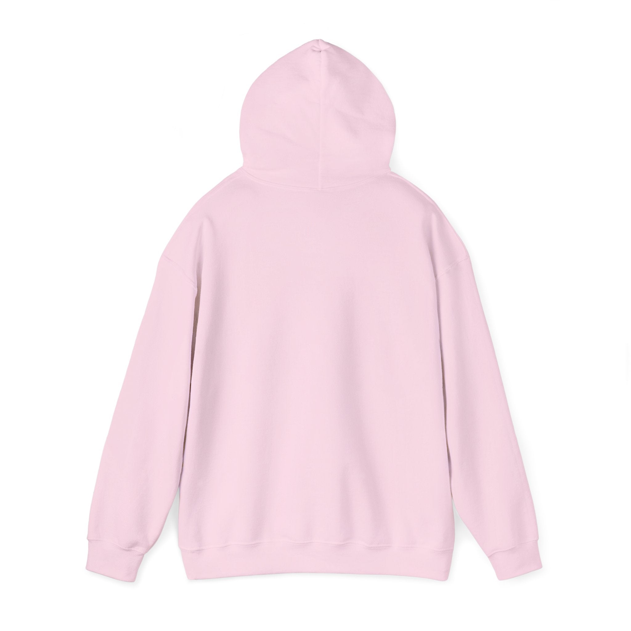 Racing Car Hoodie with Number 1 Graphic — Motorsport Fan Pullover