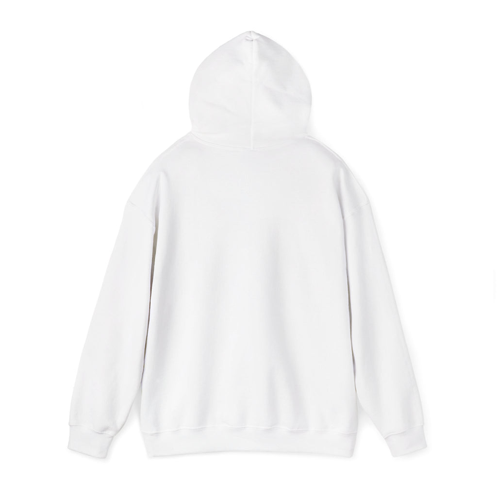 Racing Car Hoodie with Number 1 Graphic — Motorsport Fan Pullover