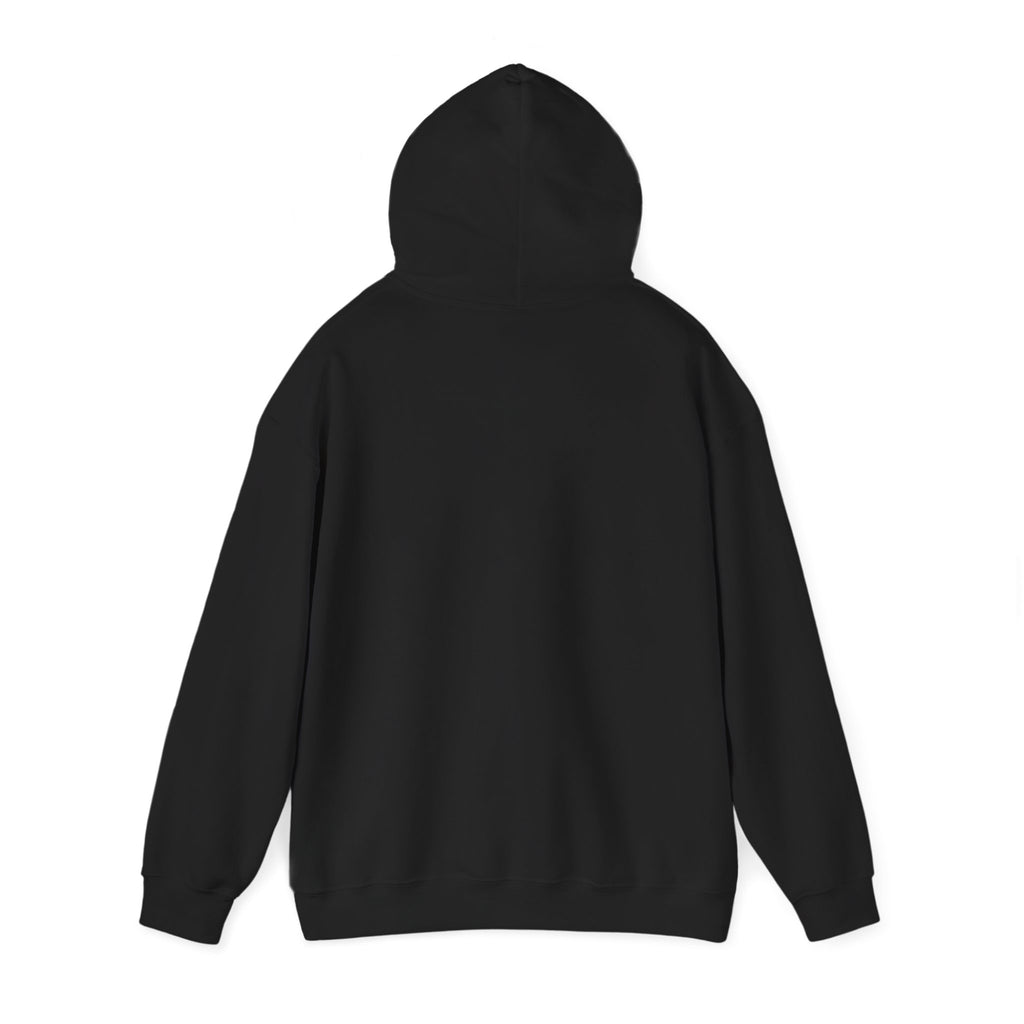 Racing Car Hoodie with Number 1 Graphic — Motorsport Fan Pullover
