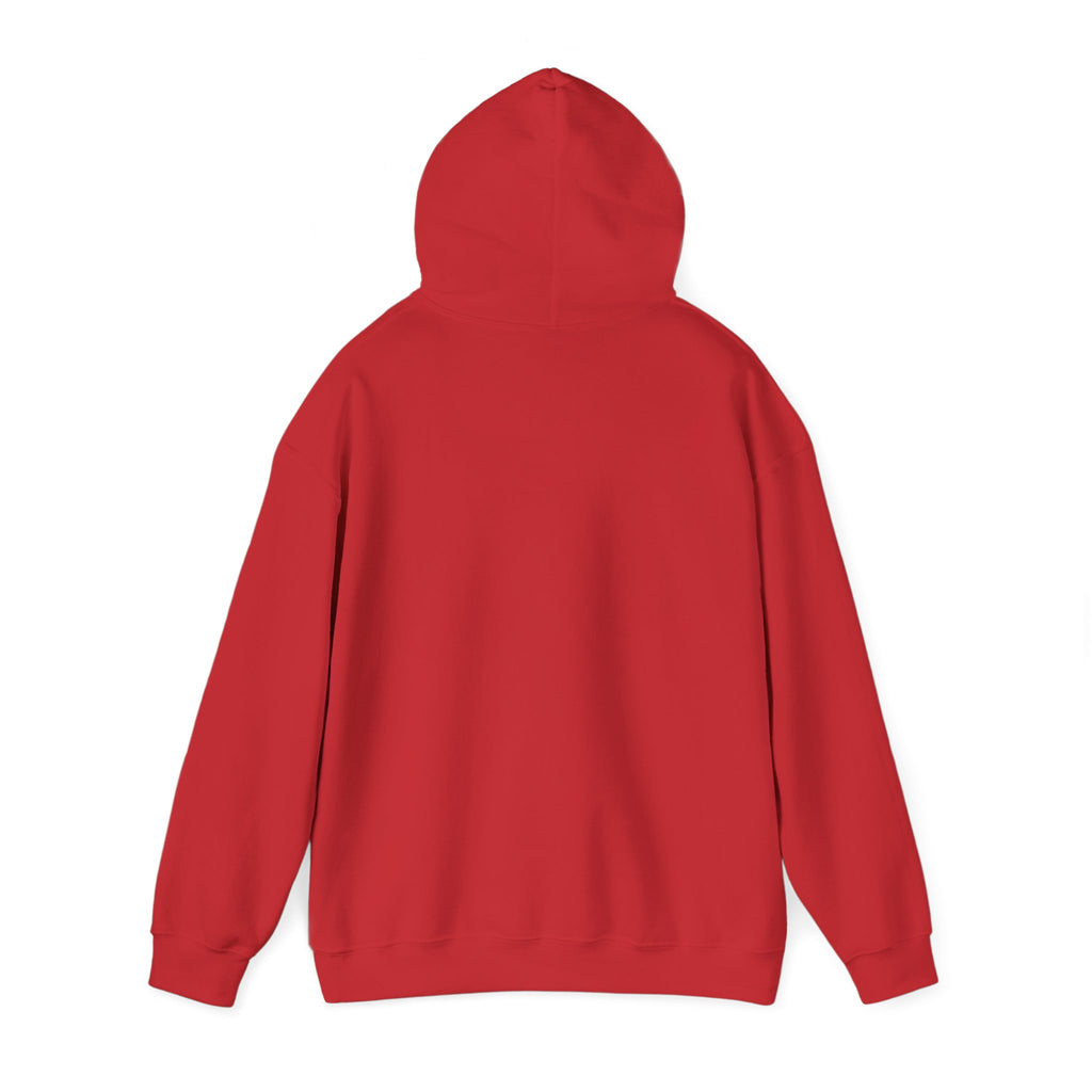Racing Car Hoodie with Number 1 Graphic — Motorsport Fan Pullover