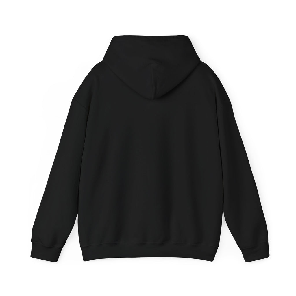 Racing Car Hoodie with Number 1 Graphic — Motorsport Fan Pullover