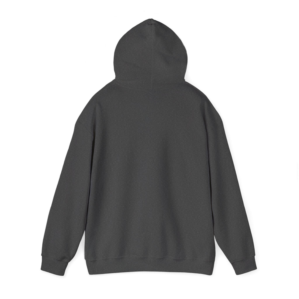 Racing Car Hoodie with Number 1 Graphic — Motorsport Fan Pullover