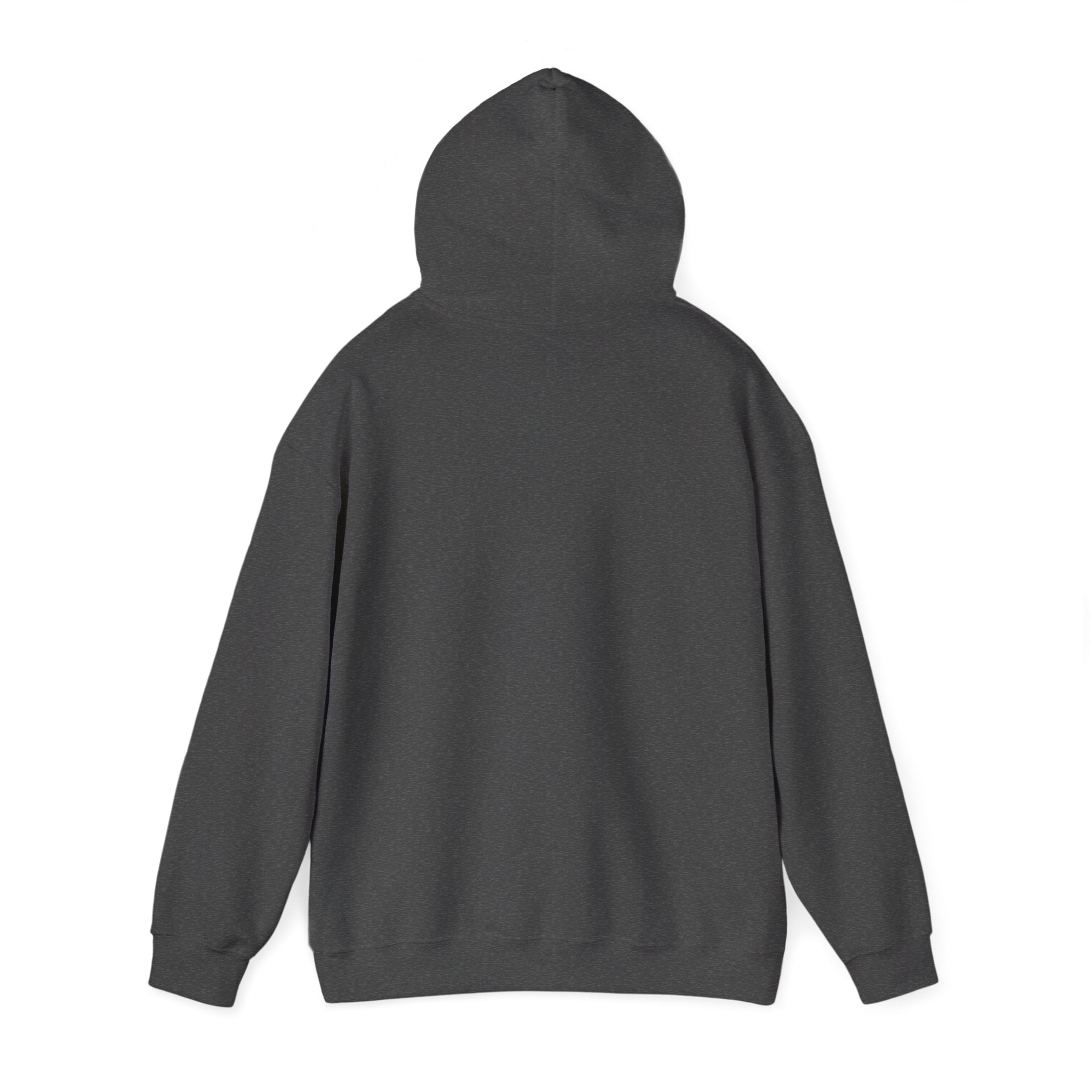 Racing Car Hoodie with Number 1 Graphic — Motorsport Fan Pullover
