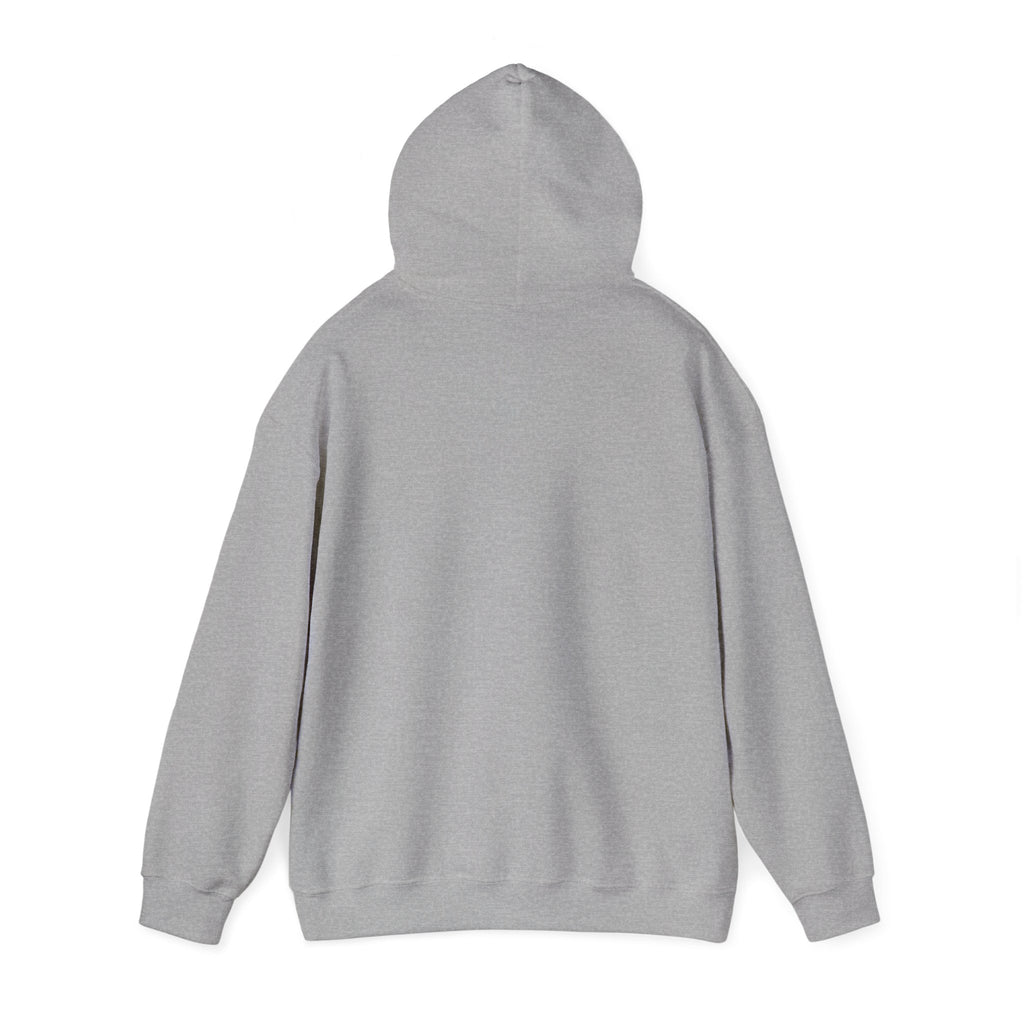 Racing Car Hoodie with Number 1 Graphic — Motorsport Fan Pullover