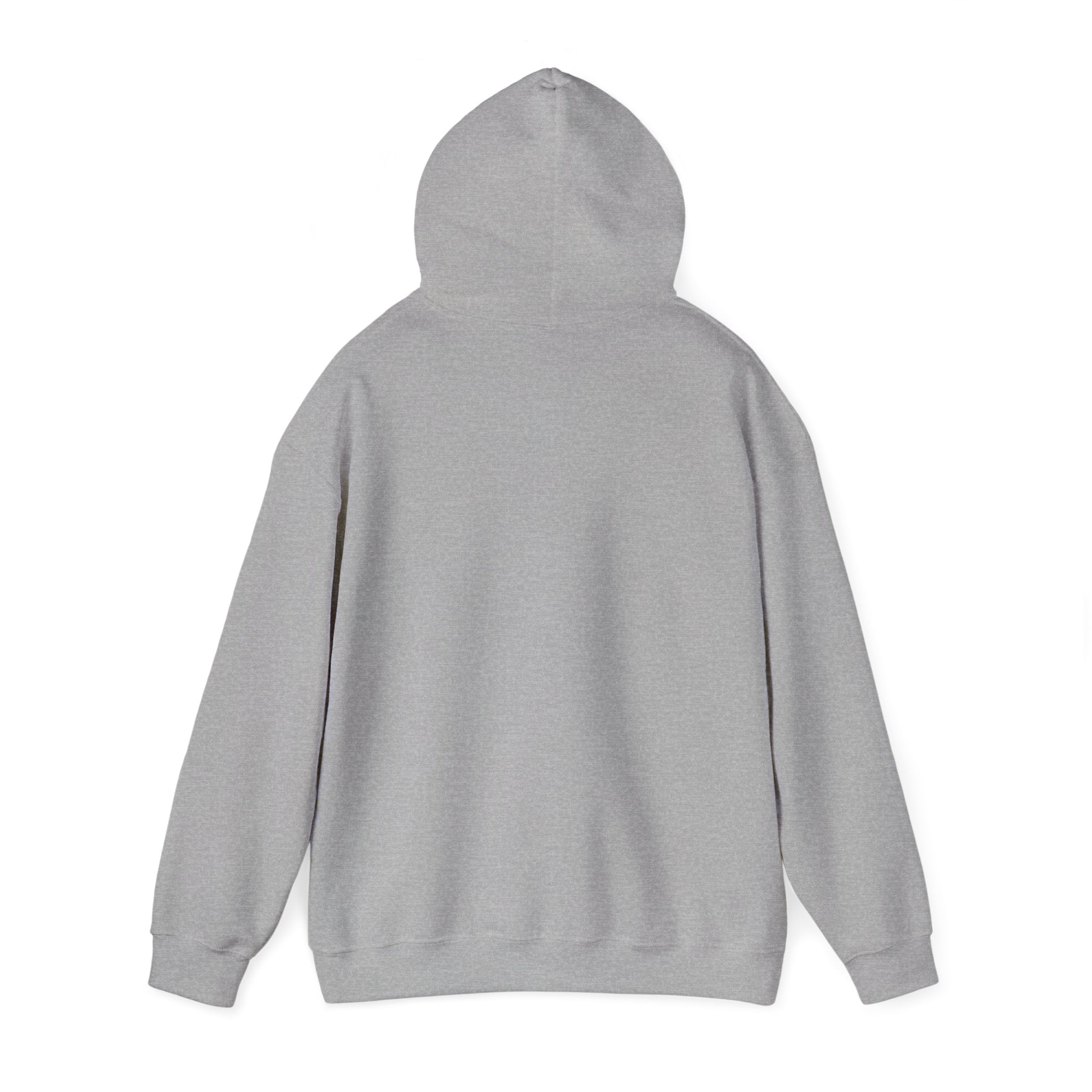 Racing Car Hoodie with Number 1 Graphic — Motorsport Fan Pullover